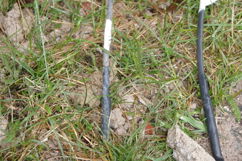 Temperature probe inserted into the ground